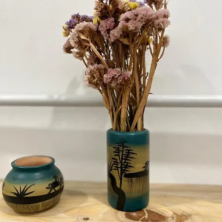 Center House Daire Tiran